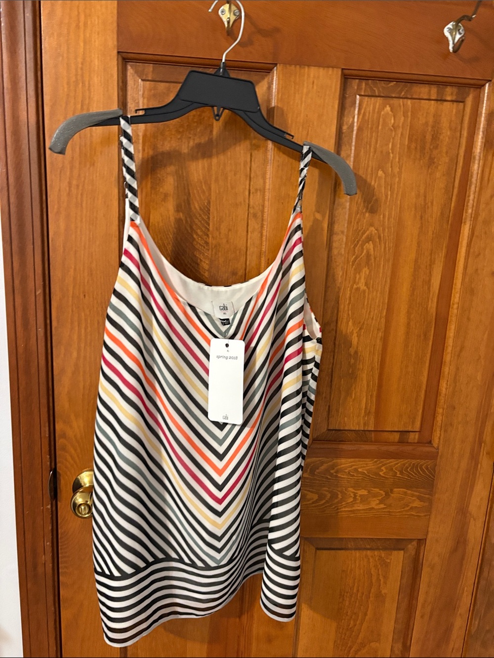 Cabi Striped V-Neck Spaghetti Strap Tank Top in Multicolor